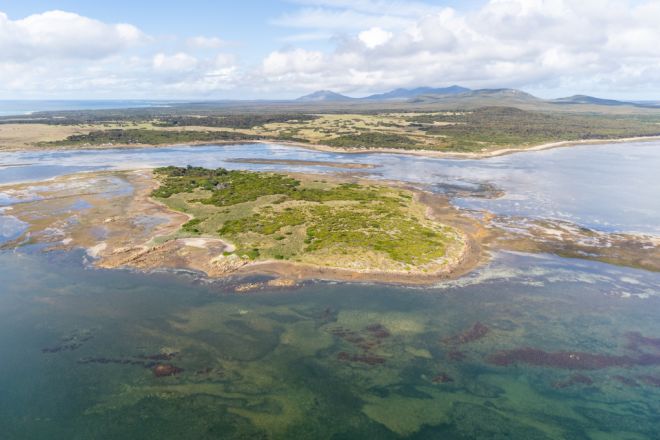 . Puncheon Island, Lady Barron TAS 7255