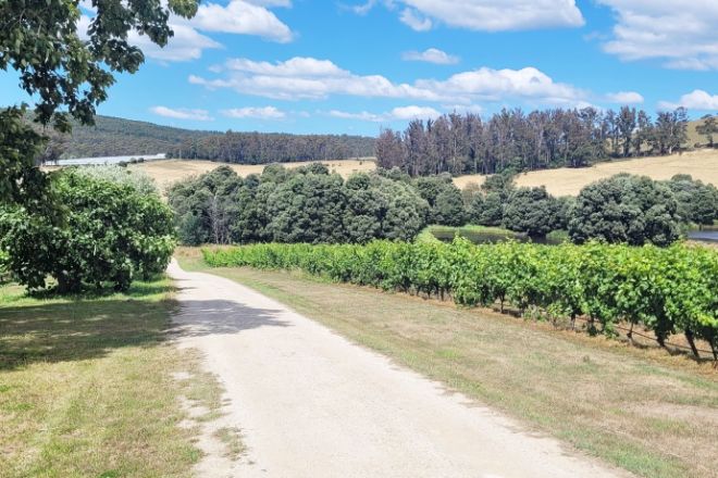 167 Adams Road, Lebrina TAS 7254