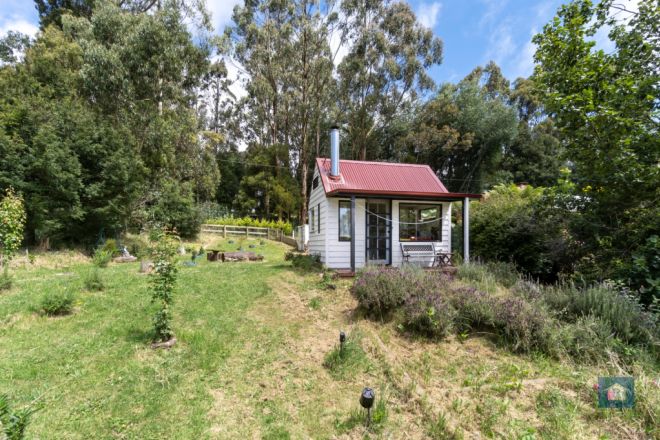 19 Southorn Street, Beech Forest VIC 3237