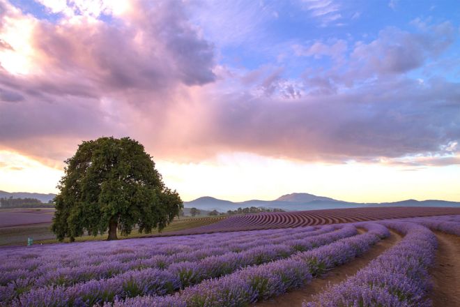 293 & 296 Gillespies Road, Nabowla TAS 7260