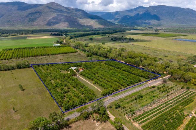 2804 Woodstock Giru Road, Majors Creek QLD 4816