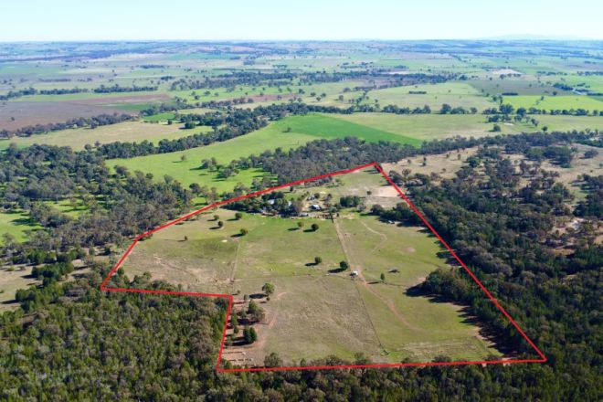 597 Fishers Lane Bendick Murrell Via, Young NSW 2594