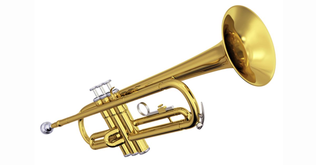 Aldi trumpet clearance