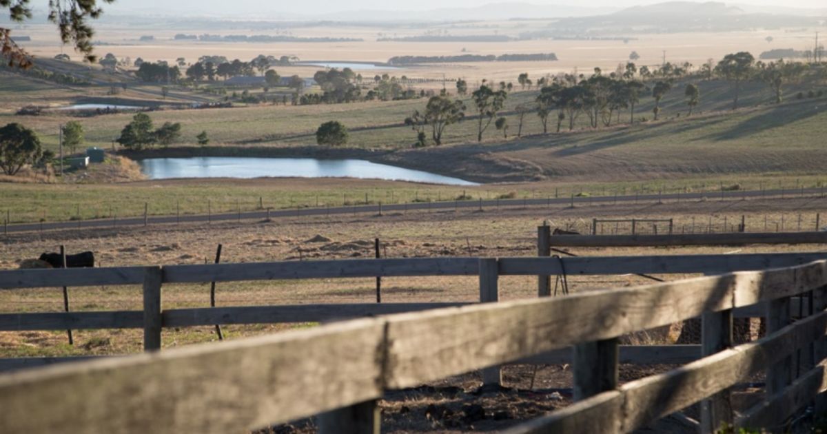 Mickleham: The unfinished suburb that's getting ready for a boom