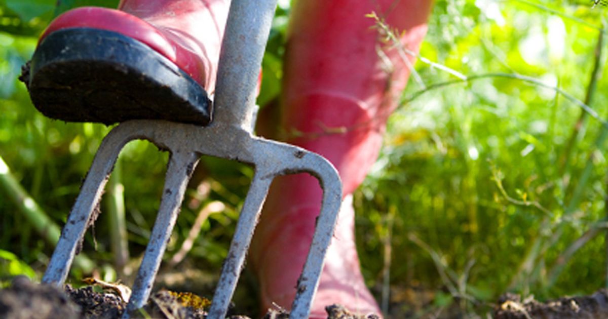 Gardening Etiquette In Your New Home