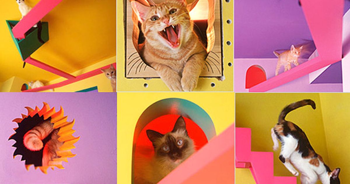 Homes Of The Pet Obsessed