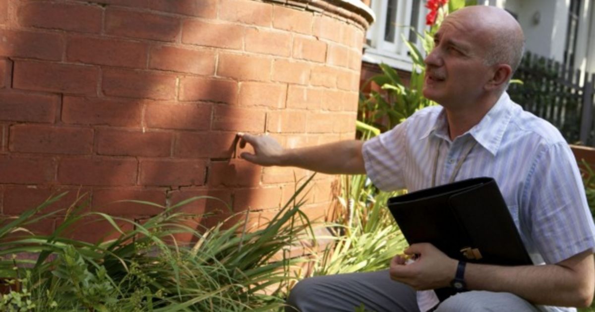 Building and pest inspections: look before you leap