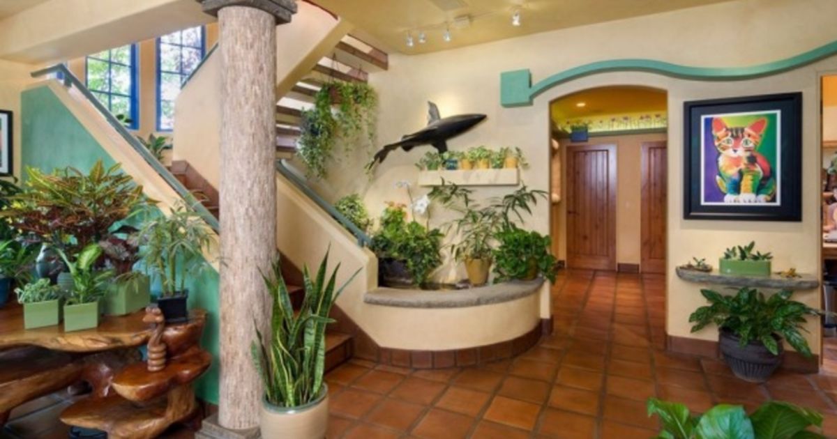 Californian house designed for 18 cats