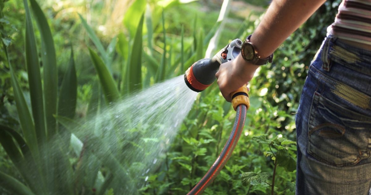 How to protect your garden in summer