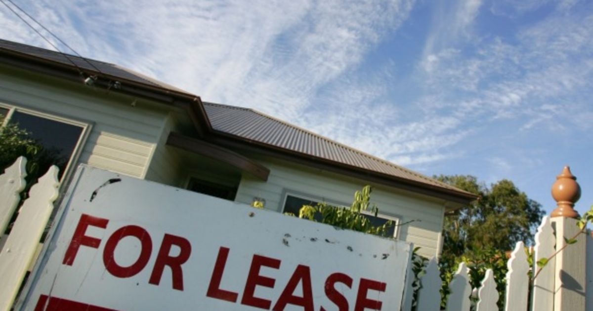 Speculative investors are the reason renting is painful