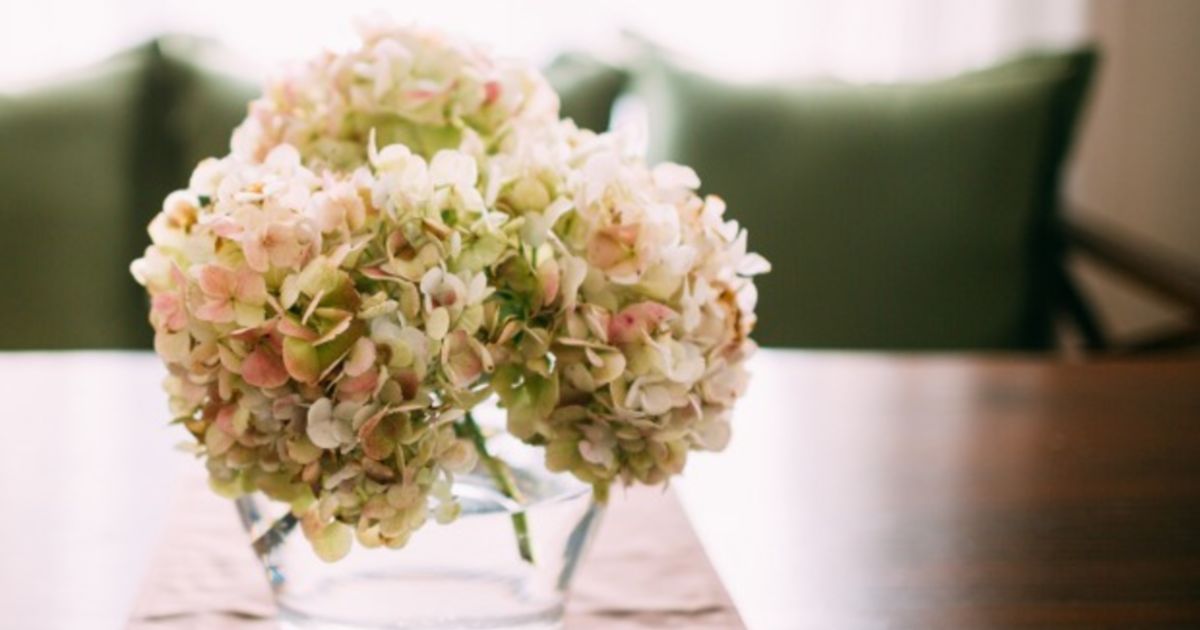 Use flower power to decorate your living space