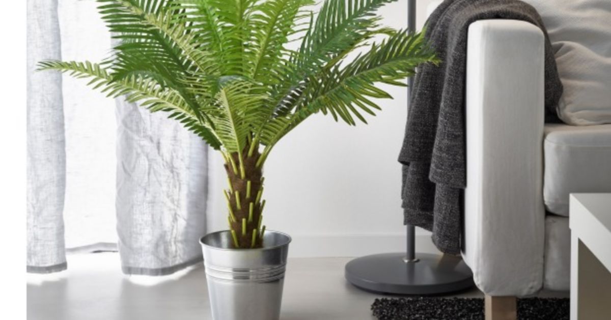 10 Reasons Why You Should Embrace Fake Plants
