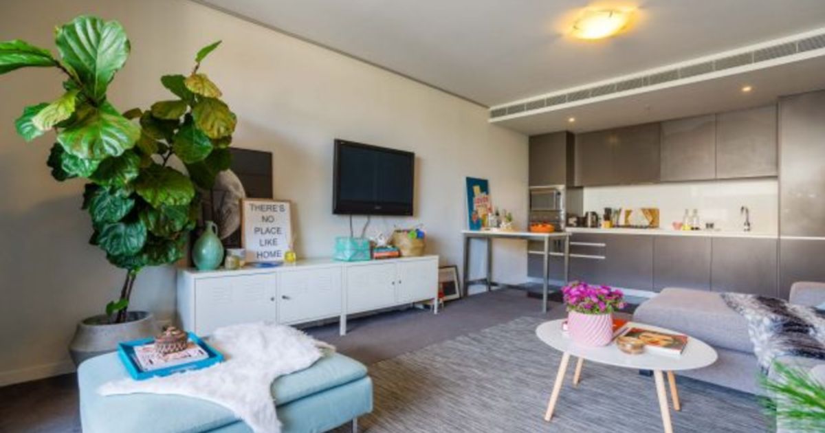 How The Fiddle Leaf Fig Became The It Plant Of The Design World