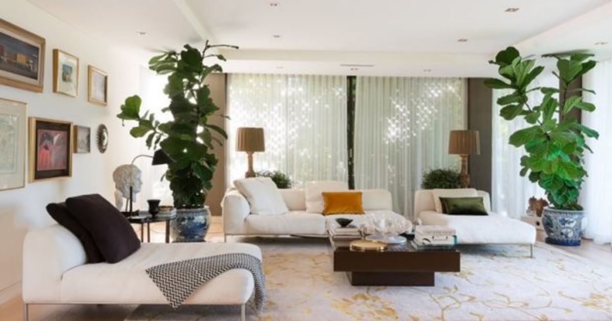 Darling Point home goes for 1 million above reserve