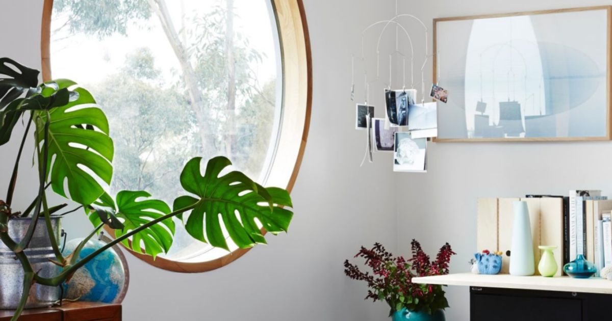 The Design Files Inside a 9.5 star energyrated home