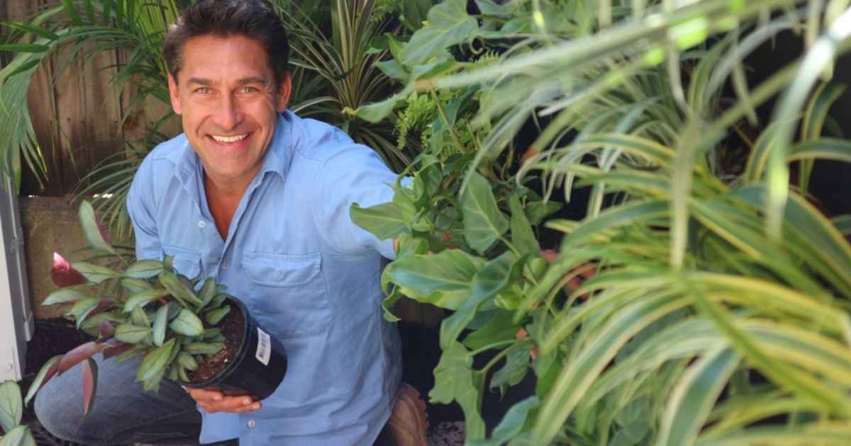 Jamie Durie Bought His First House Aged Just 16 And Quadrupled His Money