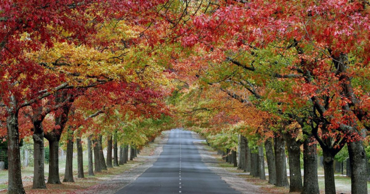 Treechangers and bargain hunters cause regional house price boom