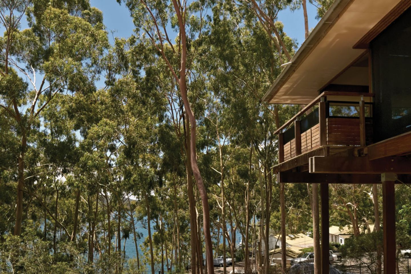 Love it and live in it