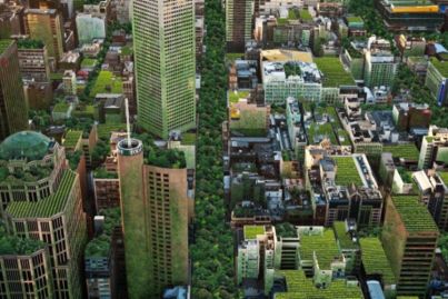 Greener cities the key to happier, healthier, stress-free lives