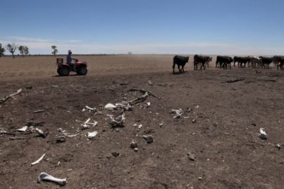 Ray White stumps up cash for Drought Angels