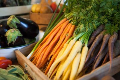 Office gardens: Cultivation is the growing trend in productive workplaces