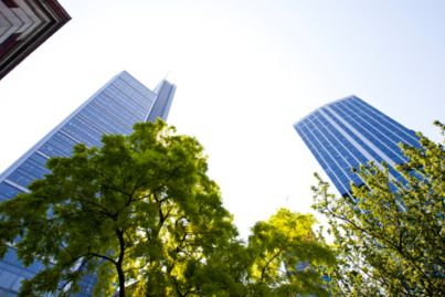 Our cities need more trees, but that means being prepared to cut some down