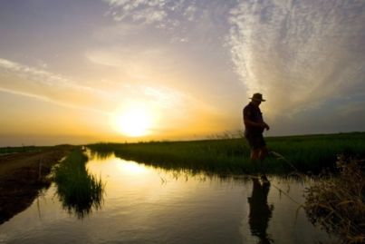 Farm tempts big land developers in Melbourne's north