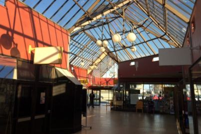 NZ shopping mall sells at auction for the price of a house