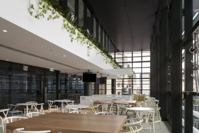 TransGrid recharges workplace with award-winning new offices