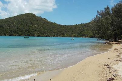 Secluded St Bees island for sale in Queensland - koalas included
