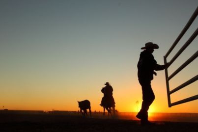 Gina Rinehart launches $370m bid for Kidman cattle empire