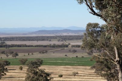 Farm sales to slow but values to keep rising