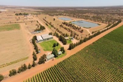 Beasley family to sell giant Sunraysia agribusiness operation