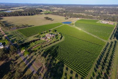Chinese back amid new Hunter Valley trophy listings