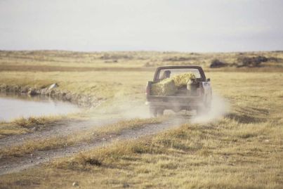 Where to buy land in Australia for 18 cents a square metre