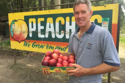 Seasonal businesses face pressure to keep doors open longer
