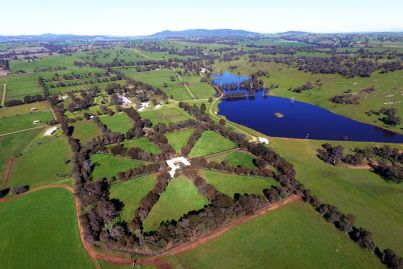 Ruler of Dubai sells Twin Hills horse stud in NSW