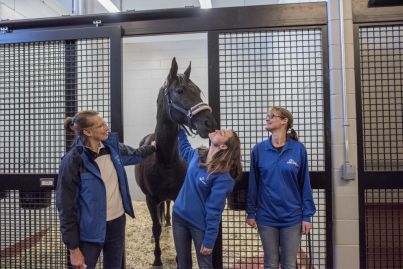 Jet-setting pets get a new place to be pampered at JFK Airport