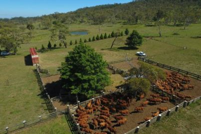 Prized New England farm on the market