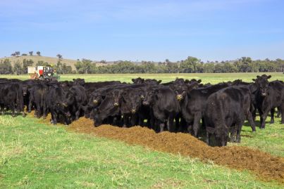 Abingdon Station near Gundagai hits the market