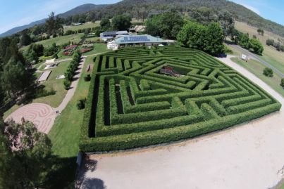 One of Australia's biggest mazes is for sale (house and cafe included)