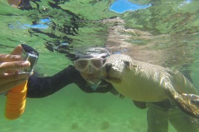 7 businesses to dive in to before summer