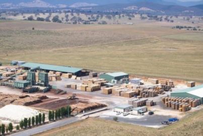 AAM buys Allied Timber mill in Bathurst as part of carbon capture focus