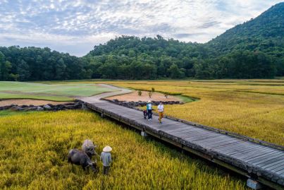 How golf clubs are using hi-tech - and a few low-tech - methods to keep their courses looking good