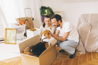 Pet-friendly rental properties are a good investment