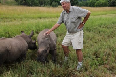 From real estate to rhinos