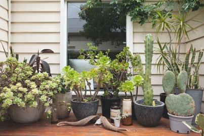 Renters can have gardens, too