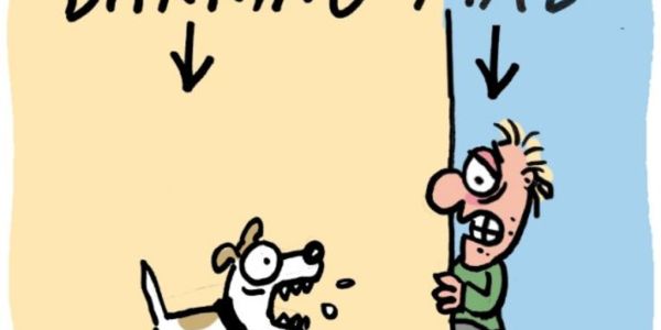 Pets Causing Nuisance Can Be Removed From Strata Blocks Under Laws And Rules