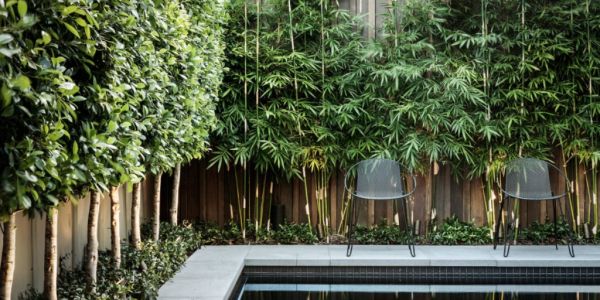 Confessions Of A Landscape Architect, Commercial Landscape Contractors Melbourne