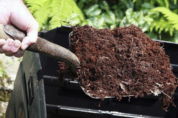 Improving Your Clay Soil Is Always, Improving Clay Soil Gardening Australia